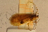  ( - TRD-TRI62)  @12 [ ] CreativeCommons - Attribution Non-Commercial Share-Alike (2014) Unspecified NTNU University Museum, Department of Natural History