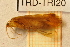 ( - TRD-TRI20)  @12 [ ] CreativeCommons - Attribution Non-Commercial Share-Alike (2014) Unspecified NTNU University Museum, Department of Natural History