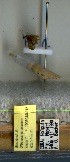  ( - 10OFCAD-747)  @11 [ ] Unspecified (default): All Rights Reserved  Unspecified Unspecified
