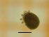  ( - AGLO06_MAC19-6)  @11 [ ] by-nc-nd (2022) Angelika Janiszewska University of Lodz, Faculty of Biology and Environmental Protection