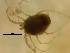 ( - UCRA23_MAC19-6)  @11 [ ] by-nc-nd (2022) Angelika Janiszewska University of Lodz, Faculty of Biology and Environmental Protection