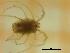  ( - UCRA03_MAC19-13)  @11 [ ] by-nc-nd (2022) Angelika Janiszewska University of Lodz, Faculty of Biology and Environmental Protection