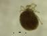  ( - HZAW02_OSB2C)  @11 [ ] by-nc-nd (2022) Angelika Janiszewska University of Lodz, Faculty of Biology and Environmental Protection