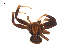  ( - BIOUG20590-C11)  @11 [ ] CreativeCommons - Attribution (2015) G. Blagoev Centre for Biodiversity Genomics