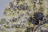  ( - 15No90)  @11 [ ] CreativeCommons - Attribution Non-Commercial Share-Alike (2017) Unspecified NTNU-Vitenskapsmuseet, 7012 Trondheim, Norway