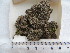  (Heppia adglutinata - SAV-38)  @11 [ ] CreativeCommons - Attribution Non-Commercial (2016) Anna Guttova Slovak Academy of Science