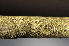  ( - BG-L-96157)  @11 [ ] CreativeCommons - Attribution Non-Commercial (2014) Einar Timdal Natural History Museum, University of Oslo, Norway