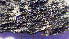  ( - BG-L-99131)  @11 [ ] CreativeCommons - Attribution Non-Commercial (2017) Tor Tønsberg University Museum of Bergen