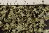  ( - O-L-175287)  @11 [ ] CreativeCommons - Attribution Non-Commercial (2019) Måns Svensson Swedish University of Agricultural Sciences