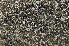  ( - O-L-183896)  @11 [ ] CreativeCommons - Attribution Non-Commercial (2013) Einar Timdal Natural History Museum, University of Oslo, Norway