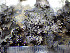  ( - O-L-201351)  @11 [ ] CreativeCommons - Attribution Non-Commercial (2016) Einar Timdal University of Oslo, Natural History Museum