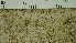  ( - O-L-206762)  @11 [ ] CreativeCommons - Attribution Non-Commercial Share-Alike (2017) Unspecified Natural History Museum, University of Oslo, Norway
