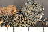  ( - O-L-210106)  @11 [ ] CreativeCommons - Attribution Non-Commercial (2019) Måns Svensson Swedish University of Agricultural Sciences