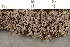  ( - O-L-210112)  @11 [ ] CreativeCommons - Attribution Non-Commercial (2019) Måns Svensson Swedish University of Agricultural Sciences