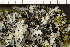  ( - O-L-210162)  @11 [ ] CreativeCommons - Attribution Non-Commercial (2019) Måns Svensson Swedish University of Agricultural Sciences