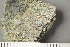  ( - TRH-L-24133)  @11 [ ] by-nc (2020) Einar Timdal Natural History Museum, University of Oslo, Norway