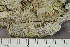  ( - TRH-L-24348)  @11 [ ] by-nc (2020) Einar Timdal Natural History Museum, University of Oslo, Norway