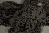  ( - TROM_L_46520)  @11 [ ] CreativeCommons - Attribution Non-Commercial Share-Alike (2017) Unspecified Tromsø University Museum