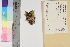  ( - TROM_L_47039)  @11 [ ] CreativeCommons - Attribution Non-Commercial Share-Alike (2016) Unspecified Tromsø University Museum