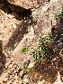  ( - BUITEMS-FKB-03)  @11 [ ] Unspecified (default): All Rights Reserved (2019) Razia Kanwal BUITEMS
