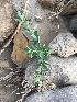  ( - BUITEMS-FKB-28)  @11 [ ] Unspecified (default): All Rights Reserved (2019) Razia Kanwal BUITEMS