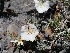  ( - BUITEMS-SHIN-186)  @11 [ ] Unspecified (default): All Rights Reserved (2019) Saima Masood BUITEMS