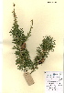  ( - FUV-CH19)  @13 [ ] CreativeCommons - Attribution Non-Commercial Share-Alike (2011) James Tosh Natural History Museum, London
