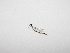  ( - MACN-E871117)  @11 [ ] CreativeCommons - Attribution Non-Commercial  Unspecified Unspecified
