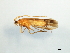  ( - 08ONCAD-0662.1)  @13 [ ] CreativeCommons - Attribution (2010) Unspecified Centre for Biodiversity Genomics