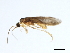  ( - 08ONCAD-0728.1)  @13 [ ] CreativeCommons - Attribution (2010) Unspecified Centre for Biodiversity Genomics