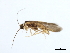  ( - 08ONCAD-0730.1)  @13 [ ] CreativeCommons - Attribution (2010) Unspecified Centre for Biodiversity Genomics