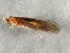  ( - 08ONCAD-0852)  @13 [ ] CreativeCommons - Attribution (2009) Unspecified Centre for Biodiversity Genomics