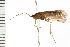  ( - 08ONCAD-0471)  @13 [ ] CreativeCommons - Attribution (2008) Unspecified Centre for Biodiversity Genomics