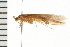  ( - 08ONCAD-0477)  @12 [ ] CreativeCommons - Attribution (2008) Unspecified Centre for Biodiversity Genomics