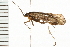  ( - 08ONCAD-0485)  @14 [ ] CreativeCommons - Attribution (2008) Unspecified Centre for Biodiversity Genomics