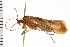  ( - 08ONCAD-0514)  @13 [ ] CreativeCommons - Attribution (2008) Unspecified Centre for Biodiversity Genomics
