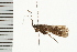  ( - 08ONCAD-0526)  @13 [ ] CreativeCommons - Attribution (2008) Unspecified Centre for Biodiversity Genomics