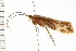  ( - 08ONCAD-0544)  @13 [ ] CreativeCommons - Attribution (2008) Unspecified Centre for Biodiversity Genomics