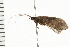  ( - 08ONCAD-0585)  @14 [ ] CreativeCommons - Attribution (2008) Unspecified Centre for Biodiversity Genomics