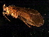  ( - 08ONCAD-0034)  @13 [ ] CreativeCommons - Attribution (2008) Unspecified Centre for Biodiversity Genomics
