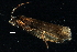  ( - 08ONCAD-0067)  @12 [ ] CreativeCommons - Attribution (2008) Unspecified Centre for Biodiversity Genomics