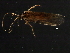  ( - 08ONCAD-0162)  @11 [ ] CreativeCommons - Attribution (2008) Unspecified Centre for Biodiversity Genomics
