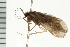  ( - 08ONCAD-0410)  @11 [ ] CreativeCommons - Attribution (2008) Unspecified Centre for Biodiversity Genomics