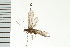  ( - 08ONCAD-0421)  @13 [ ] CreativeCommons - Attribution (2008) Unspecified Centre for Biodiversity Genomics