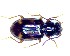  ( - BC-LNEF-2023-438)  @11 [ ] CreativeCommons Attribution (2023) Thomas Barnouin Unspecified