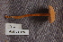  ( - TRTC156994)  @11 [ ] CreativeCommons - Attribution Non-Commercial Share-Alike (2010) Unspecified Royal Ontario Museum