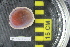  ( - NA097-051-02-A-BOL)  @11 [ ] CreativeCommons - Attribution Non-Commercial Share-Alike (2018) Tammy Norgard Ocean Exploration Trust, Northeast Pacific Seamount Expedition Partners