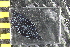 ( - NA097-111-01-A-BOL)  @11 [ ] CreativeCommons - Attribution Non-Commercial Share-Alike (2018) Tammy Norgard Ocean Exploration Trust, Northeast Pacific Seamount Expedition Partners