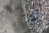  ( - NA097-111-01-A-BOL)  @11 [ ] CreativeCommons - Attribution Non-Commercial Share-Alike (2018) Tammy Norgard Ocean Exploration Trust, Northeast Pacific Seamount Expedition Partners
