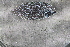  ( - NA097-111-01-A-BOL)  @11 [ ] CreativeCommons - Attribution Non-Commercial Share-Alike (2018) Tammy Norgard Ocean Exploration Trust, Northeast Pacific Seamount Expedition Partners